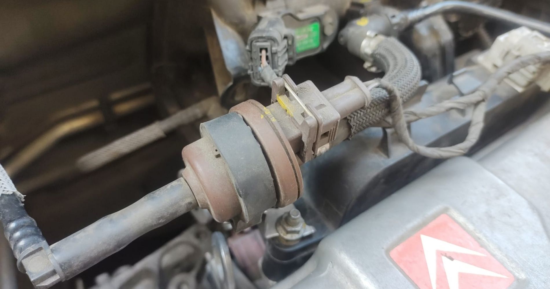 El sistema Evaporativo en los vehículos modernos