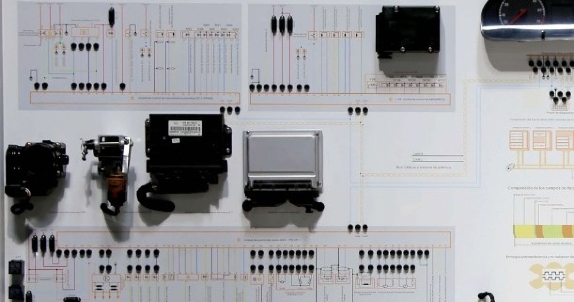 La Claridad en el Camino
