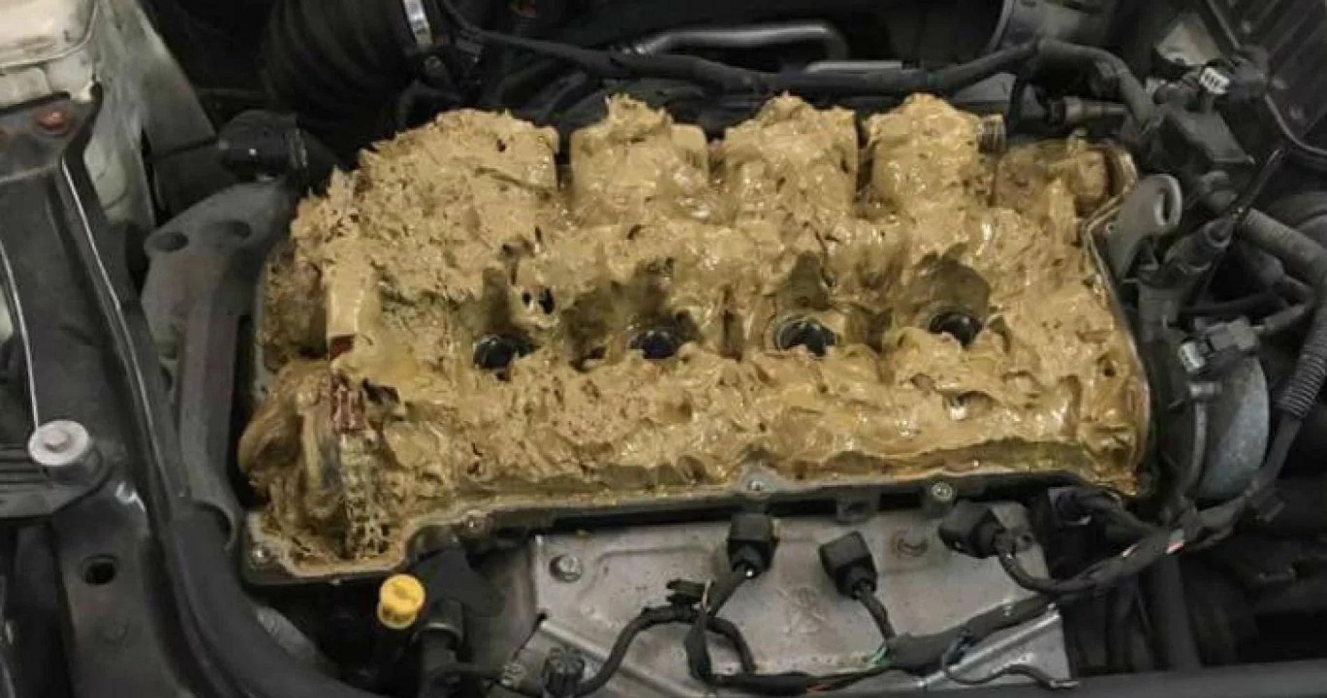 Al motor de un Mini Cooper le pusieron agua con detergente en vez de aceite