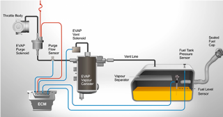 El sistema Evaporativo en los Vehículos Modernos (Parte 2)
