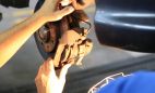 Operaciones de Servicio Rápido del Automóvil