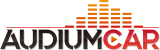 Electricista Automotriz - Audiumcar