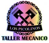 Mecánico - Los Picolinos