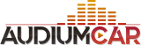 Técnico instalador - Audiumcar