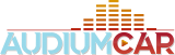 Vendedor - Audiumcar