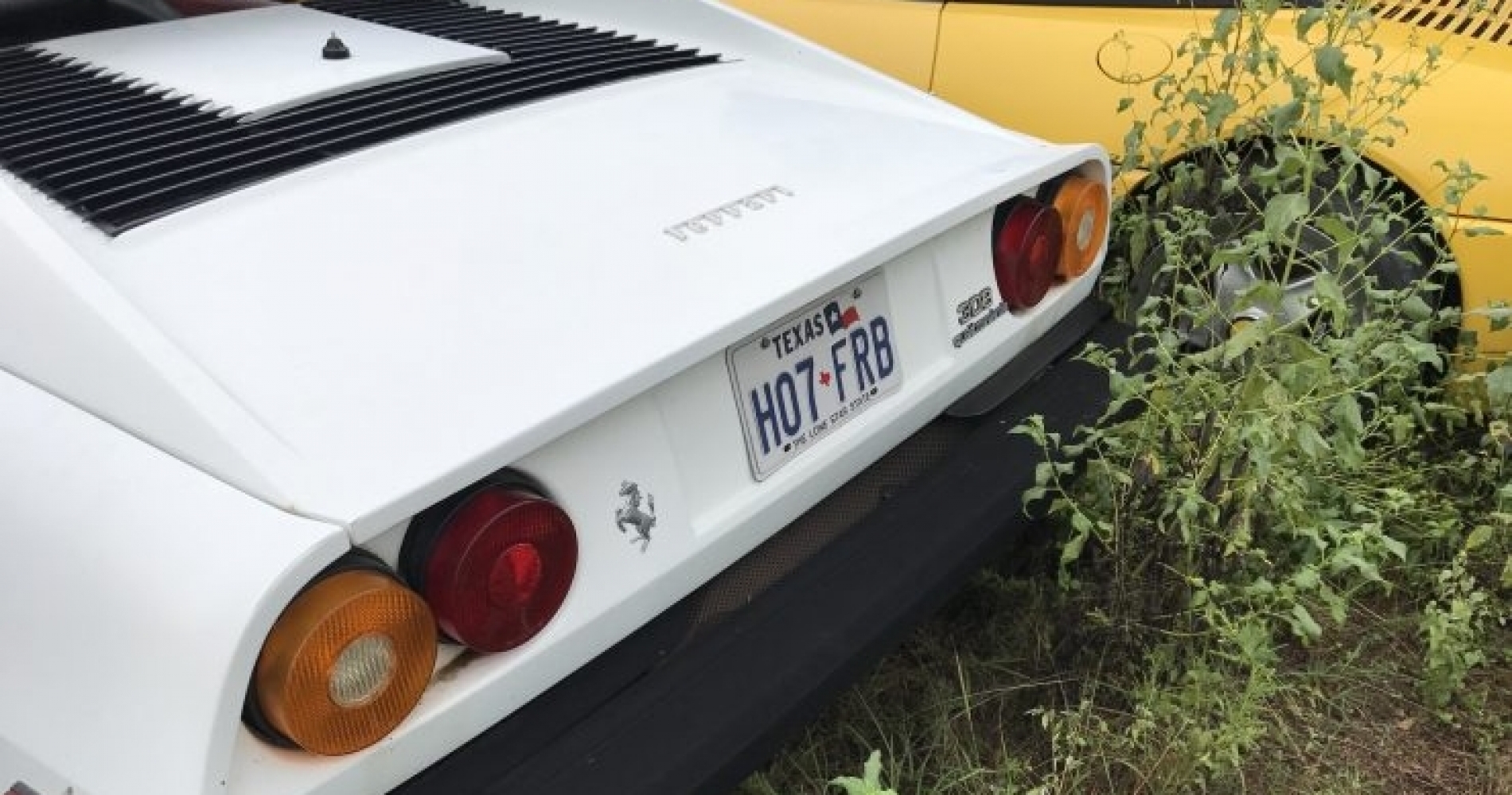 */Encuentran un campo abandonado de Ferraris en EEUU./*