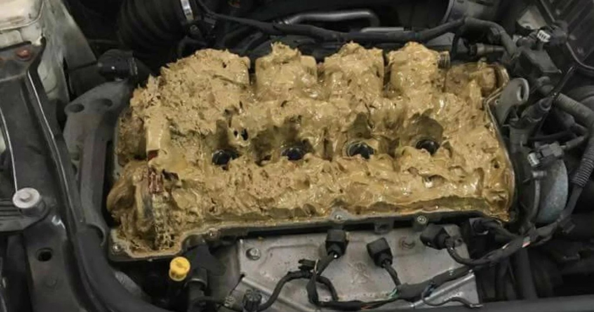 */Al motor de un Mini Cooper le pusieron agua con detergente en vez de aceite/*