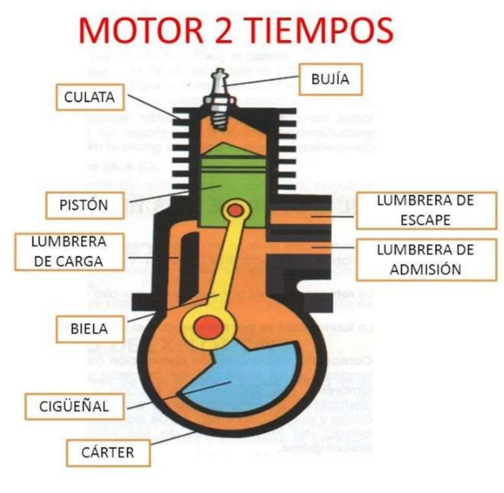 Foto noticia 3
